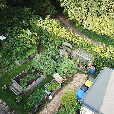 Ruhige Ferienwohnung „Suedhang“ Direkt Am Wald Bad Arolsen Exterior foto