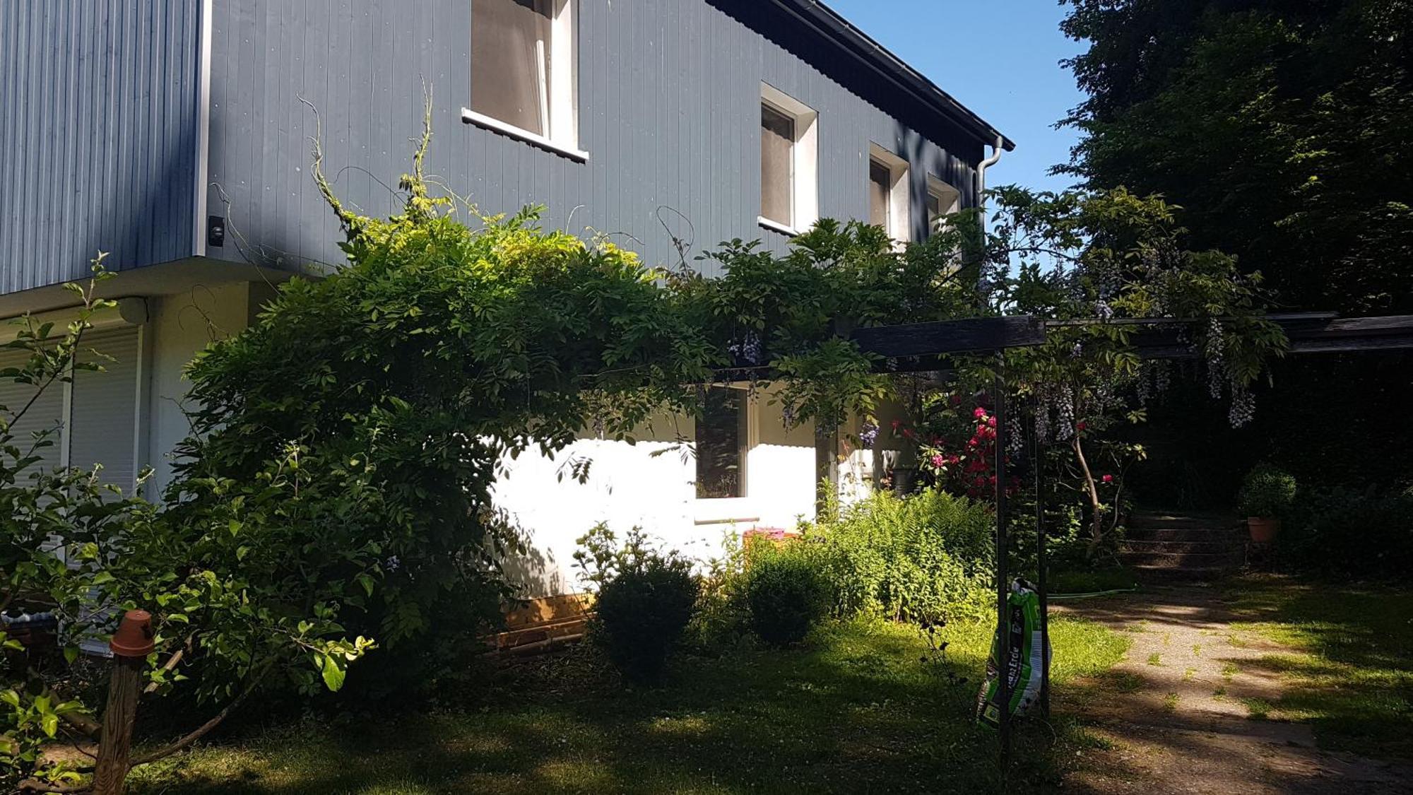 Ruhige Ferienwohnung „Suedhang“ Direkt Am Wald Bad Arolsen Exterior foto